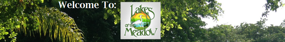 LAKES OF THE MEADOW KENDALL HOMES